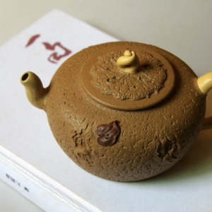 刘震云：有远见的人走的一定是笨路